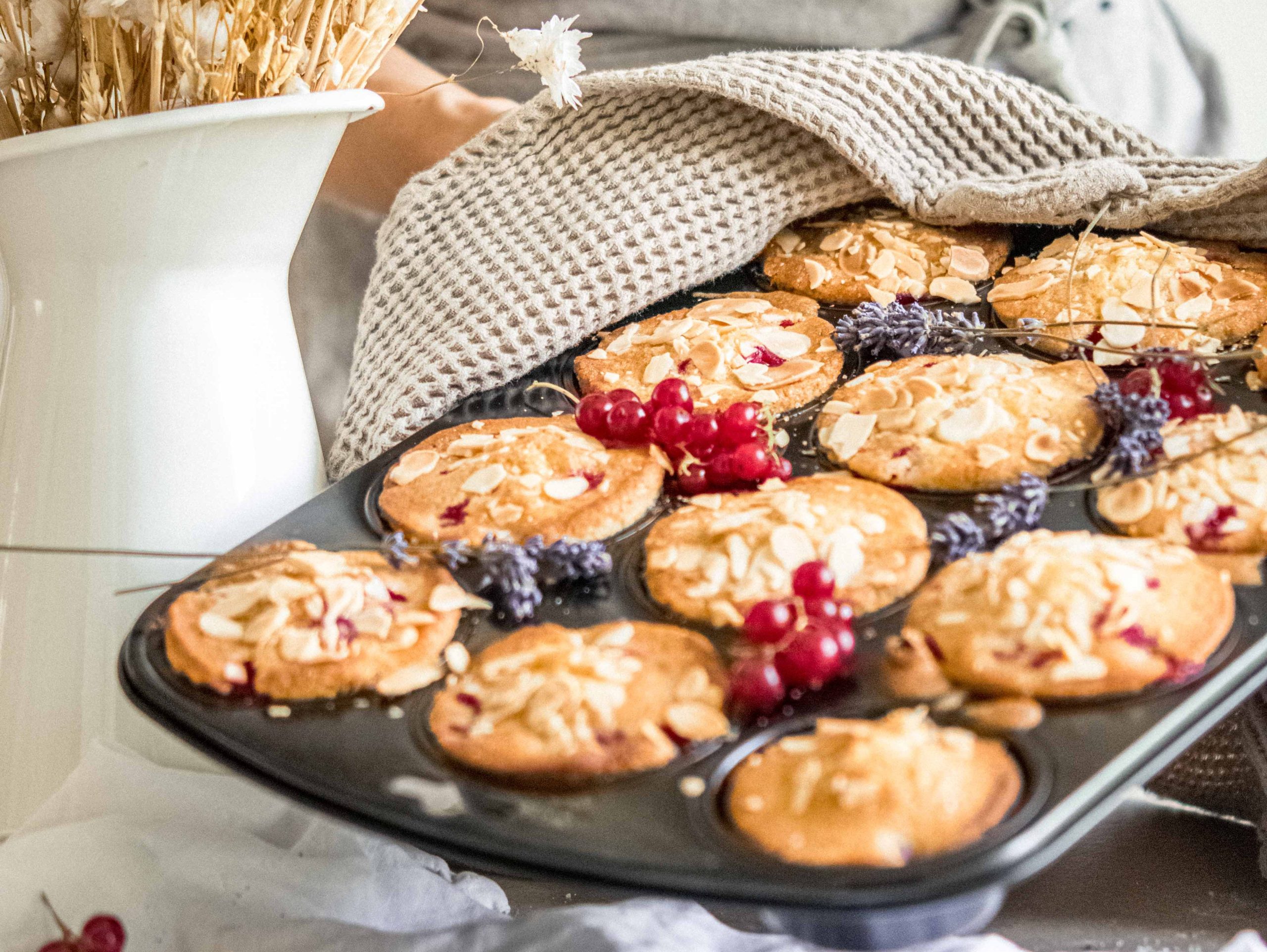 Ribisel Muffins auf einem Blech